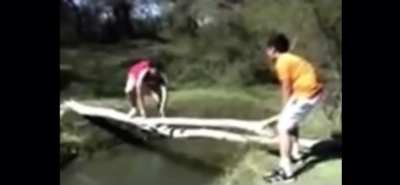 Log Crossing
