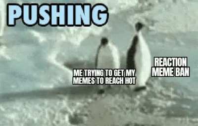 Why u bully me
