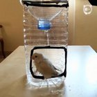 Birb-Sized shower