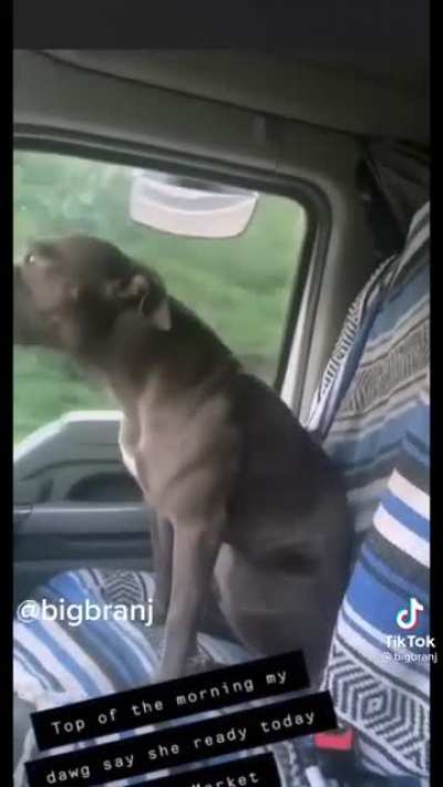He dances pretty good