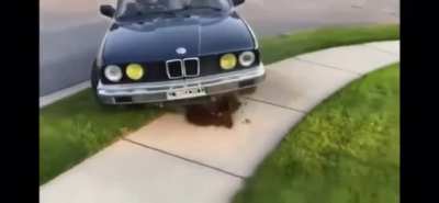 Daddy, I need some money to get my car fixed.