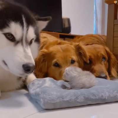 Aww so cute ?