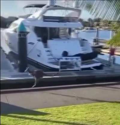 From r/Unexpected