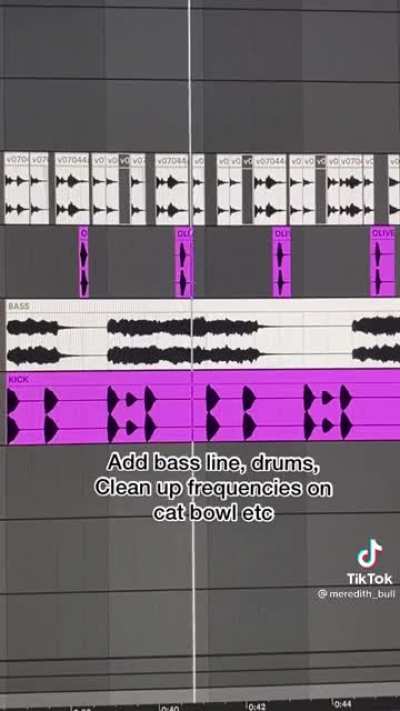Music producer cat