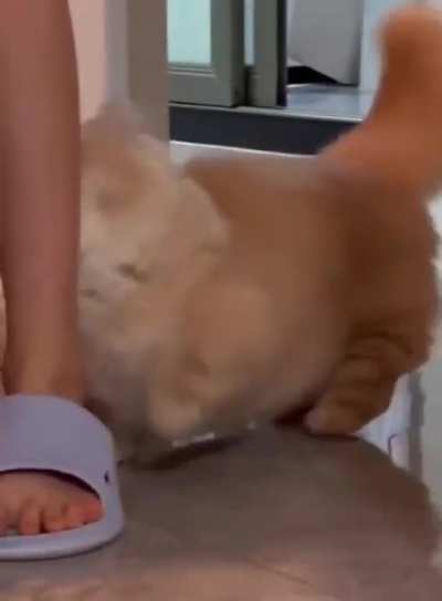 He's just very hungry