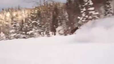 ? Moose running through deep snow ?