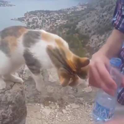 "Sir, may I trouble you for a sip of water?"