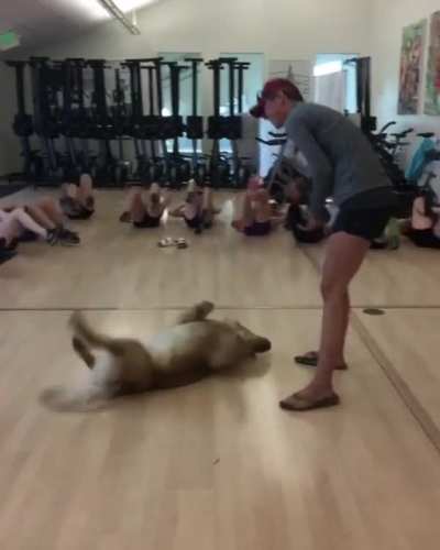 Exercise group