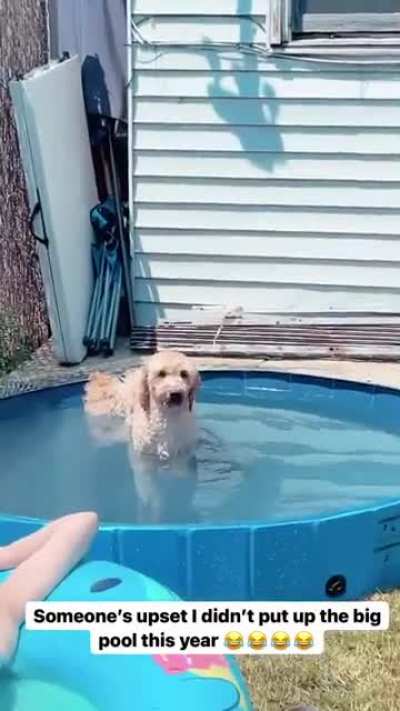 During COVID last year, I had a big Intex pool for the doggos but since I phased back into the office I realized I wouldn’t have much time so I had to downgrade. Clearly my boys are not happy ?