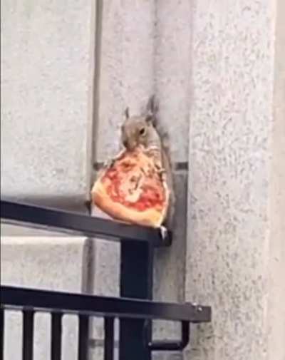 Pizza and ?️