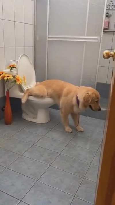The bestest of good boys