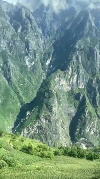 ? a view of the calm and beautiful nature.. You don't need a TV