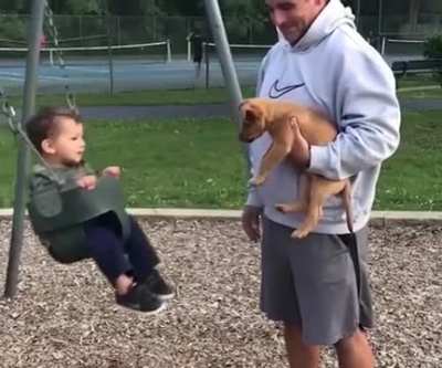 Good boy pushes his little buddy on the swing