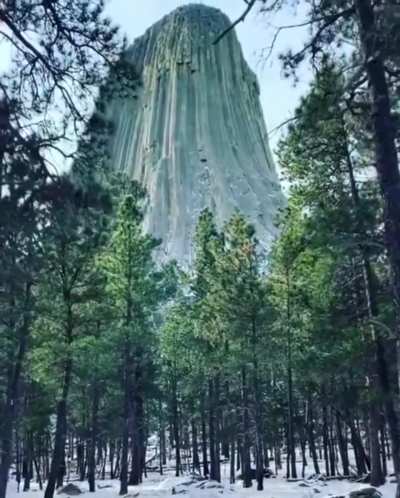 ? Devils Tower Wyoming