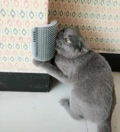 That’s the spot!