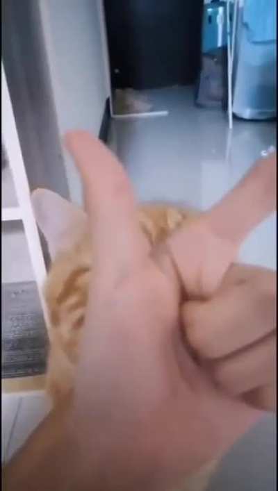 ?