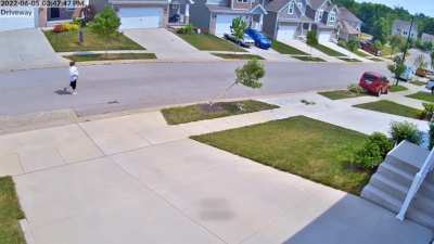 Idiot lady leaves car in neutral and as a result 3 trees died~ ?‍♂️