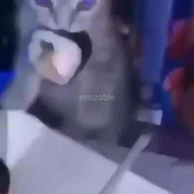 SwerveClips video 4Dlh3cI2k4