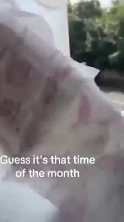 Professional thief