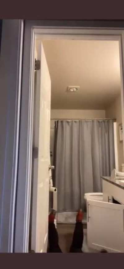Hmc while I pose