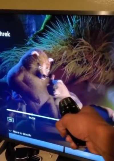 Maybe maybe maybe