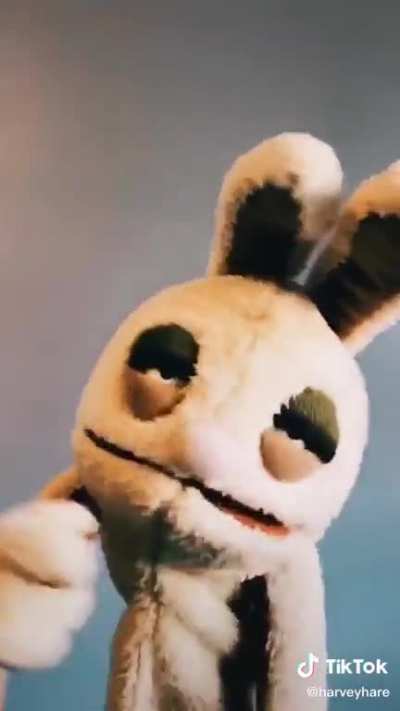 Harvey ?Hare ? lays down the law ⚖️ on ?drunk ? driving ?