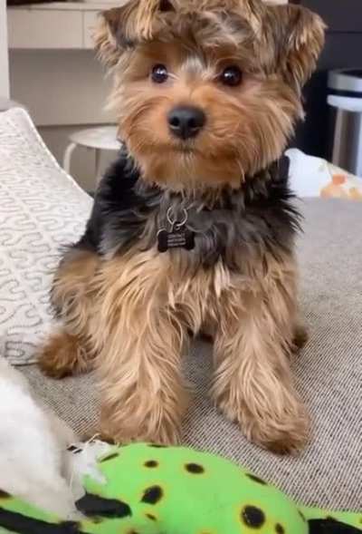 He waiting