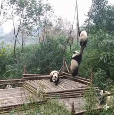 Awww ?
