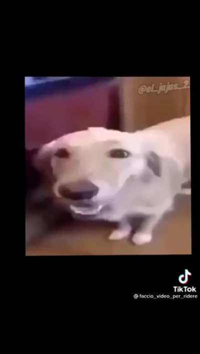 My humor is so ass that this alone had me cackling for a few minutes
