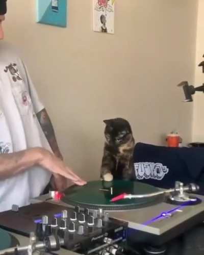 Drop that beat
