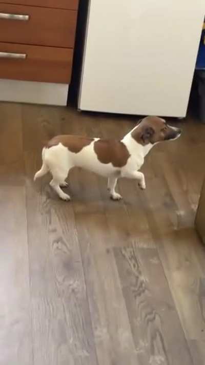 They can't see me if I don't move ? P.S: Not OC.