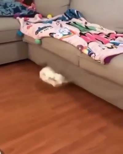 To jump on the couch