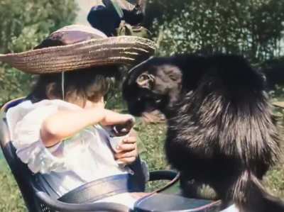 The world's first cat clip ever from 1889. "Little girl and cat". Colorized and speed adjusted.