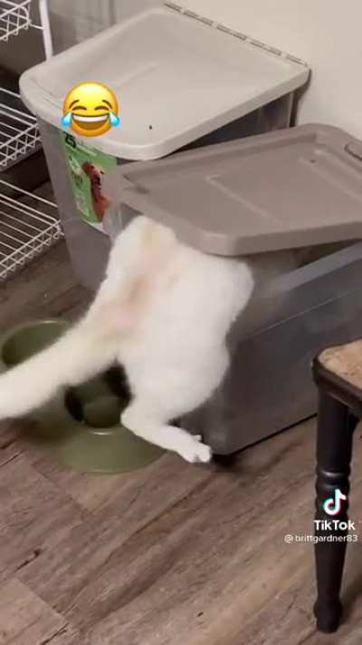 *Separated toe beans of panic*