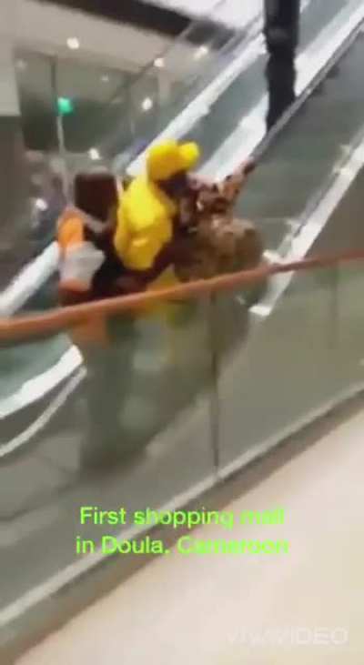 People using an escalator for the first time.