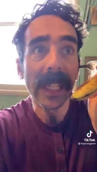 This guy's on another level of writing content for tiktok