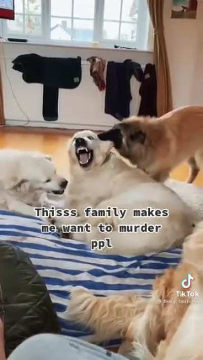 "Somebody come get they kids”