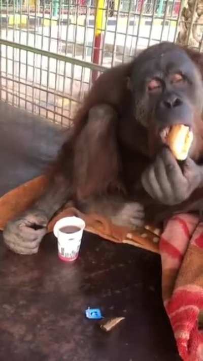 a little Tea break ??