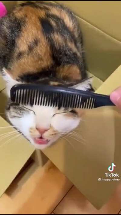 Head combs