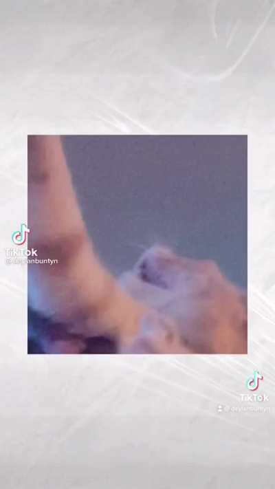 SwerveClips video RBExZxDgRB
