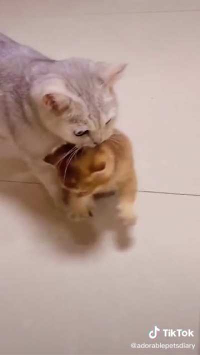 A sacrifice