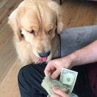 Best tax man out there!