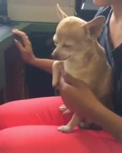 "Nobody here said Stop."