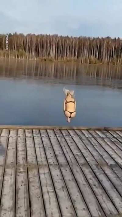 Cannonball !