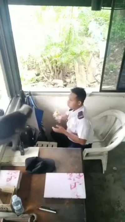 Eating breakfast