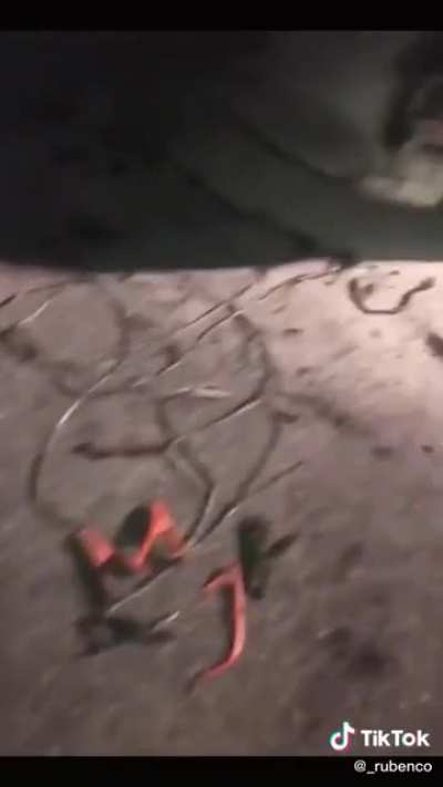 HMC while I prove we don’t need men for anything