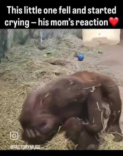 Pure love ?