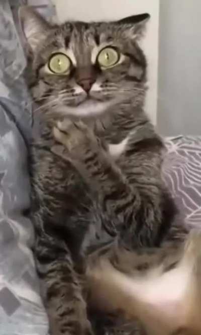 What did I just witness? ?