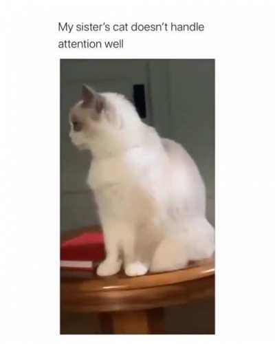You're too loud