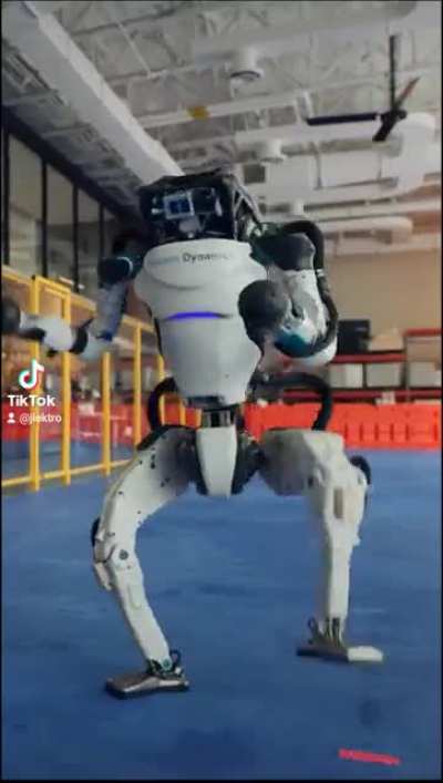 Disco Roboto ?